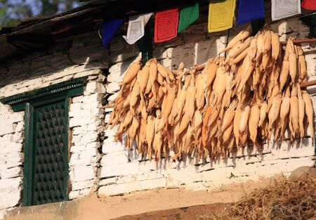 Nepal customsの写真素材