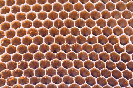 Old bee hive to Honeycomb move.