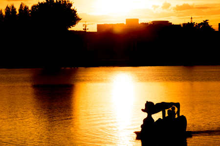 Sunset at the city park.の写真素材