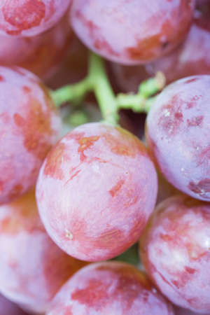 Red grapes in a bunch.の写真素材