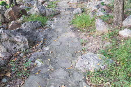 Road in the mountain forests.の写真素材