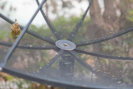 Black satellite dish located in the park.の写真素材