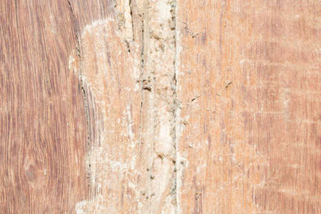 The background image of wood.の写真素材