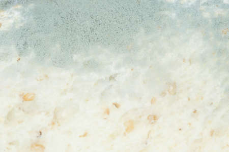 Moldy bread due to expire.の写真素材