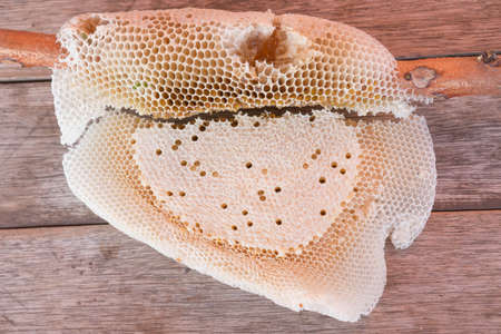 Honeycomb on a branch on the table.の写真素材