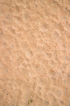 Photos background ground wet after the rain stopped.