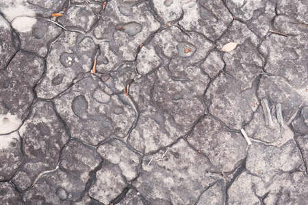 Photos surface of the mountain rock.の写真素材