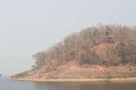 Dry tree in the forest on the mountain.の写真素材