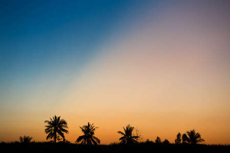 Silhouette rural landscape at sunset.の写真素材