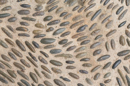 Street background in the garden outdoor.の写真素材