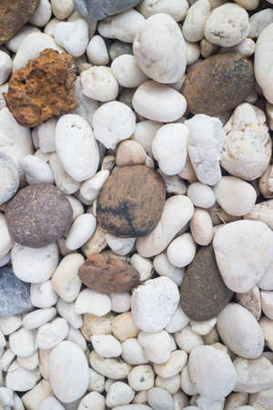 Photos stones background in an outdoor garden.の写真素材