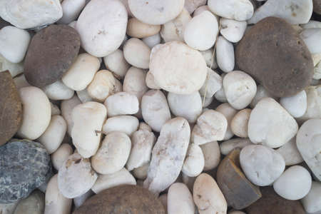 Photos stones background in an outdoor garden.の写真素材