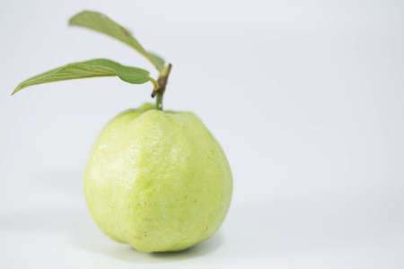Guava on a white background.の写真素材