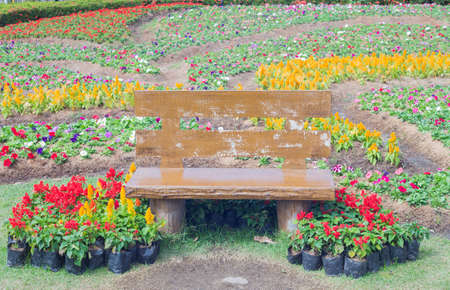 Brown chair in the garden.の写真素材