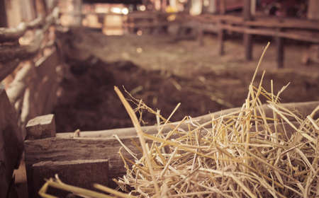 Straw for food in the cattle.の写真素材