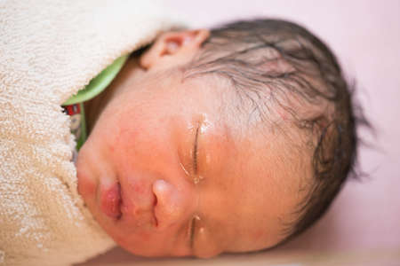 Close up photos of newborn babies.の写真素材
