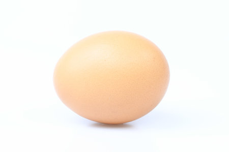 Eggs on a white backgroundの写真素材