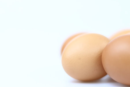 Eggs on a white backgroundの写真素材