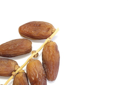 Date Palm on a white background.