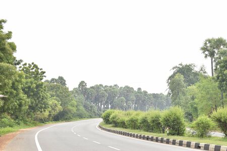 Empty highway road turning right, green palm tree on the roadside and small trees on the dividerの写真素材