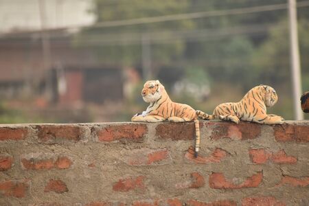 funny pic of two knitted tiger toys on the wall with the blur background.