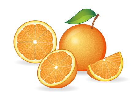 orange designのイラスト素材