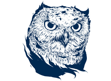 owl illustrations for designのイラスト素材