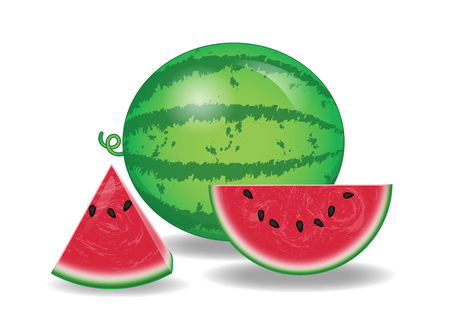 watermelon illustrations for other designのイラスト素材