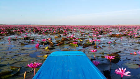Boat at Red Lotus Marine of Thailandの写真素材