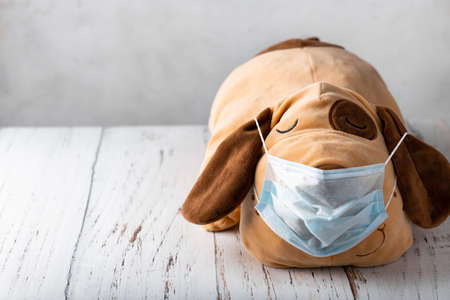 soft toy in a medical maskの写真素材