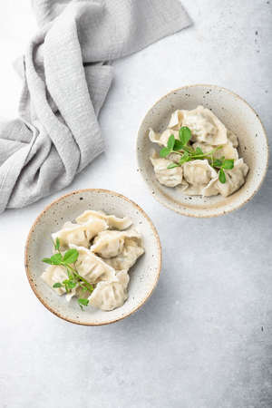 Korean dumplings with soy sauce on a white background , asian food.の写真素材