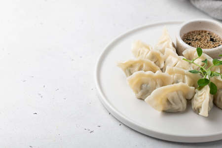 Korean dumplings with soy sauce on a white background , asian food.の写真素材