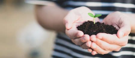 hands hold the soil with a sprout. Nature concept. Place for your text.の写真素材