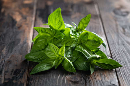 fresh basil on old wooden backgroundの写真素材