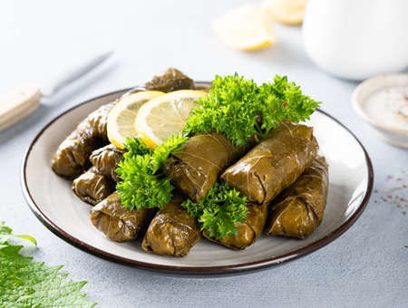 Dolma, traditional Caucasian, Turkish and Greek cuisineの写真素材