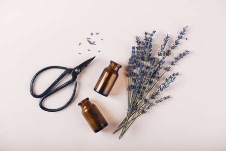 concept of natural cosmetics and healing herbs, top viewの写真素材