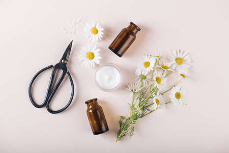 concept of natural cosmetics and healing herbs, top viewの写真素材