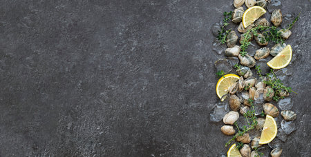 Fresh clams, shellfish, vongole. Food background, top view, place for textの写真素材