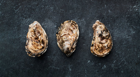 Three fresh unopened oysters on a black background, top view