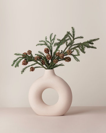Coniferous branch with cones. White minimalist ceramic vase in Scandinavian style.の写真素材