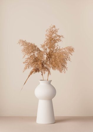Pampas grass. Dried flowers in a white minimalist ceramic vase in Scandinavian styleの写真素材
