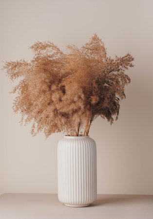 Pampas grass. Dried flowers in a white minimalist ceramic vase in Scandinavian styleの写真素材