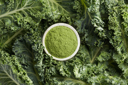 Kale Powder on a background of leaves, top viewの写真素材