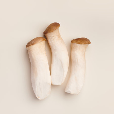 Three king oyster mushrooms are artfully arranged and displayed on an inviting, soft backdrop for admirationの写真素材