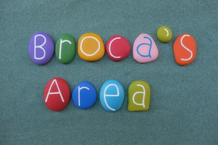 Broca's area, part of the brain with functions linked to speech production, text composed with multi colored stone letters over green sandの写真素材
