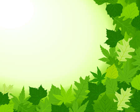 Horizontal spring background with beech, maple, oak and chestnut leaves and the bottom and right. Copy space for your text. Use of blends (bg) and 10 global colors.のイラスト素材