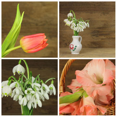Collage of various kinds of flowers on wooden backgroundの写真素材