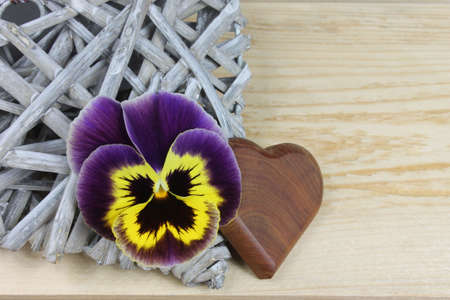 Purple pansy with wooden heart ond wooden backgroundの写真素材
