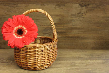 Orange gerbera with basket on wooden backgroundの写真素材