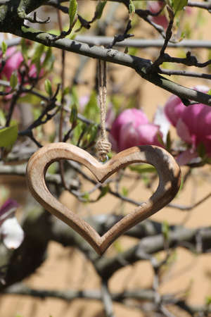 Wooden heart in detail with pink flowersの写真素材